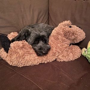 Meet your Posher, Francesca